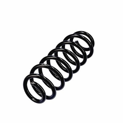 ARC SPIRAL EIBACH R13605 3