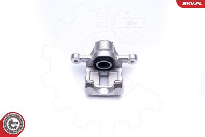 Brake Caliper 45SKV193