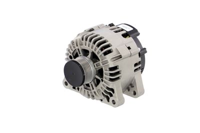 GENERATOR / ALTERNATOR REMANTE 011003000142R 6