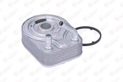 RADIATOR ULEI ULEI MOTOR BIRTH 80865 12