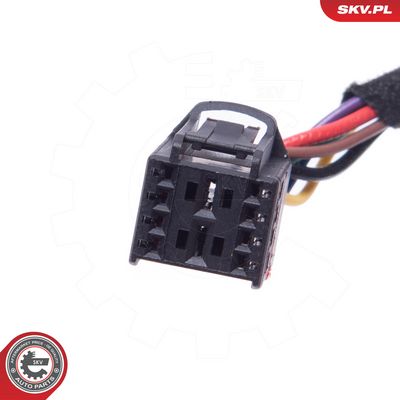 Elektromotor, zadní dveře ESEN SKV 52SKV966