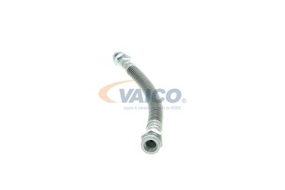 FURTUN FRANA VAICO V220145 13