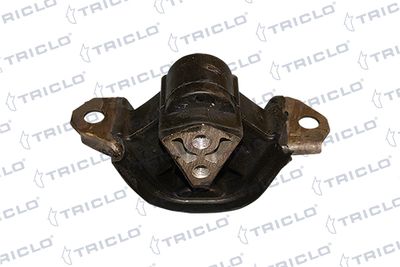 окачване, двигател TRICLO
