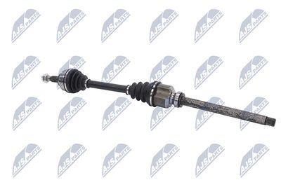 PLANETARA NTY NPWPE081 27