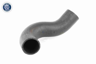 FURTUN EAR SUPRAALIMENTARE ACKOJA A380298 8