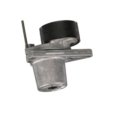 INTINZATOR CUREA CUREA DISTRIBUTIE GATES T39251 62