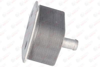 RADIATOR ULEI ULEI MOTOR BIRTH 80124 10