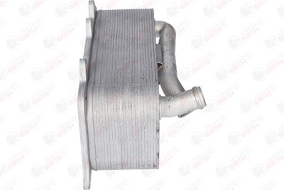 RADIATOR ULEI ULEI MOTOR BIRTH 80783 10