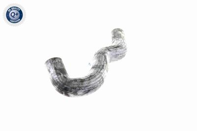 FURTUN RADIATOR VAICO V300227 4