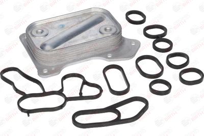 RADIATOR ULEI ULEI MOTOR BIRTH 8966 11