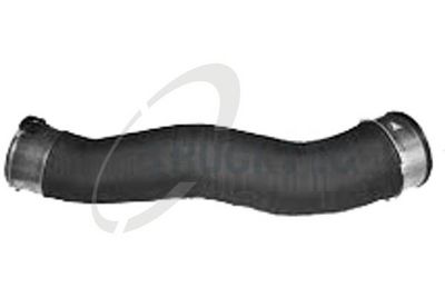 FURTUN EAR SUPRAALIMENTARE