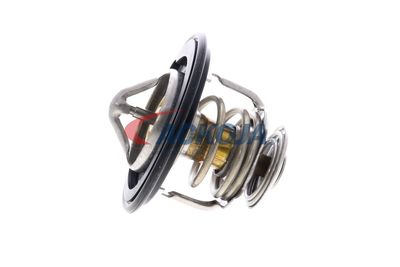 TERMOSTAT LICHID RACIRE ACKOJA A26990007 37