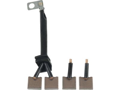 Anglies šepetėlis, starteris