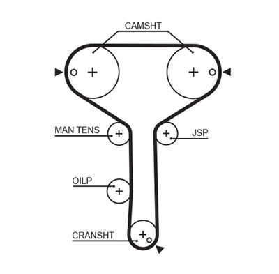 Timing Belt GATES 5259XS