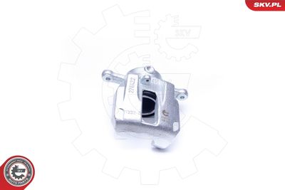 Brake Caliper 42SKV352