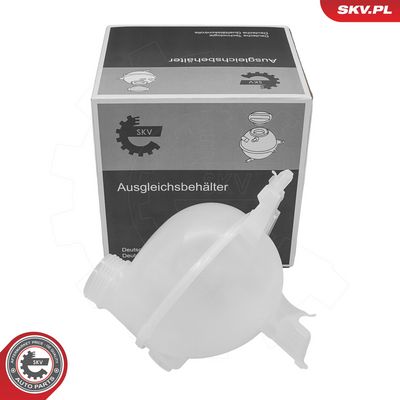 VAS DE EXPANSIUNE RACIRE