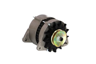 GENERATOR / ALTERNATOR REMANTE 011003000232R 50