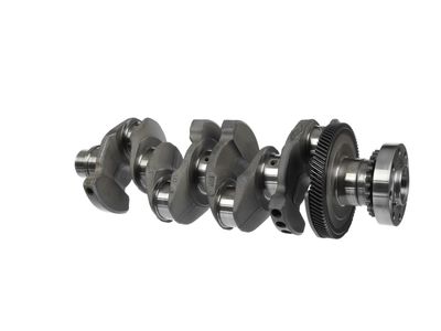 ARBORE COTIT ET ENGINETEAM HK0220 8