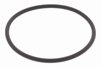 DICHTUNG DROSSELKLAPPENSTUTZEN