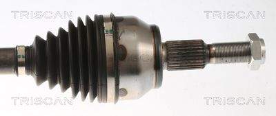 PLANETARA TRISCAN 854016667 2