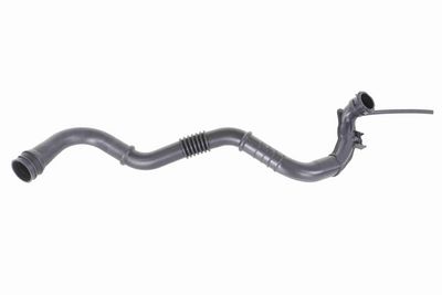 FURTUN EAR SUPRAALIMENTARE VAICO V460742 2