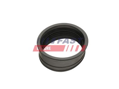 FURTUN EAR SUPRAALIMENTARE