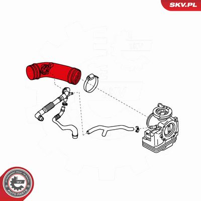 FURTUN EAR SUPRAALIMENTARE ESEN SKV 43SKV102 4