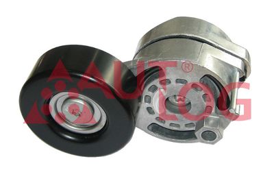 Napinacz, pasek klinowy wielorowkowy AUTLOG RT1862