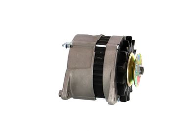 GENERATOR / ALTERNATOR REMANTE 011003000232R 44
