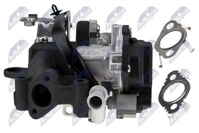 SUPAPA EGR NTY EGRVW033 5