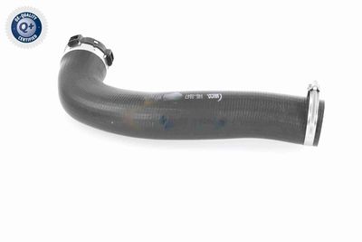 LADELUFTSCHLAUCH VAICO V460847 6