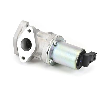 AGR-VENTIL DELPHI EG1061812B1 15