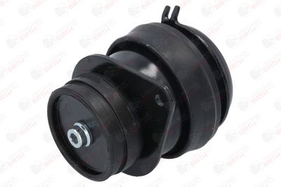 SUPORT MOTOR BIRTH 5476 4