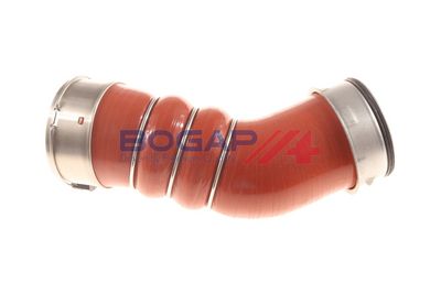 FURTUN EAR SUPRAALIMENTARE BOGAP B1711141 1