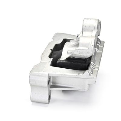 LAGERUNG MOTOR DELPHI TEM133 21