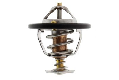 TERMOSTAT LICHID RACIRE