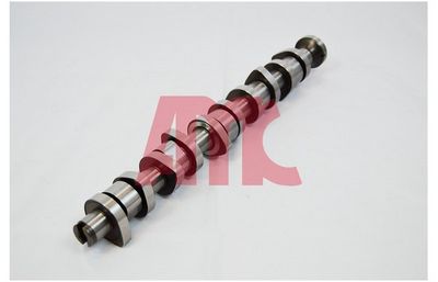 NOCKENWELLE AMC 668881 1