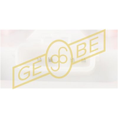 SISTEM ALIMENTARE CU COMBUSTIBIL GEBE 960751 2