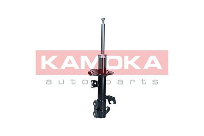 Shock Absorber 2001137