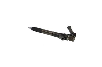 INJECTOR REMANTE 002003001324R 14