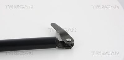AMORTIZOR PORTBAGAJ TRISCAN 871068206 1