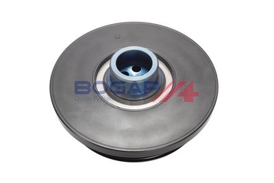 FULIE CUREA ARBORE COTIT BOGAP B1213151 1