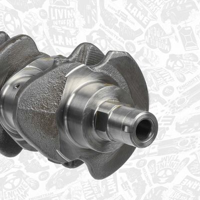 ARBORE COTIT ET ENGINETEAM HK0191VR1 3