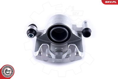 Brake Caliper 55SKV291