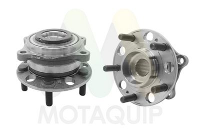 SET RULMENT ROATA MOTAQUIP LVBW1887