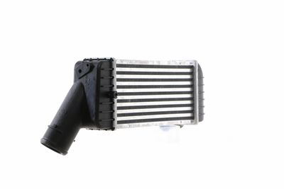 INTERCOOLER COMPRESOR MAHLE CI67000S 24