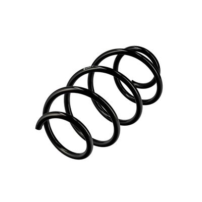 ARC SPIRAL EIBACH R10425 3