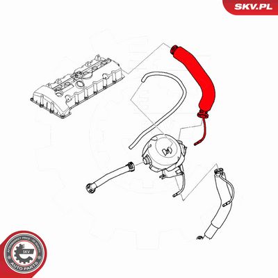 FURTUN EAR SUPRAALIMENTARE ESEN SKV 43SKV330 4