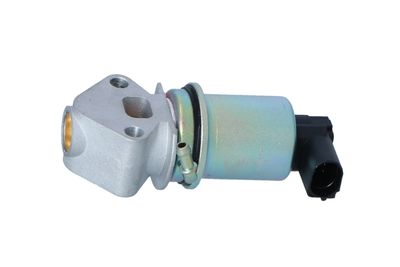 SUPAPA EGR NRF 48341 45