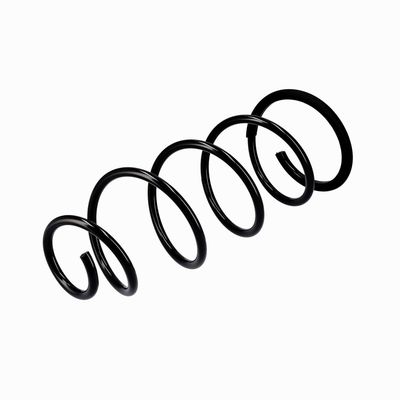 ARC SPIRAL EIBACH R10092 16